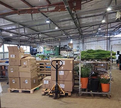 יישום במקררי תרופות